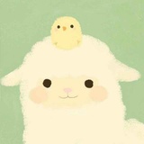 直视阳光