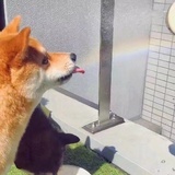白衣