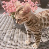 川尻宁子
