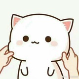 Y   Y   Y
