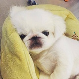 我是银行小苦逼