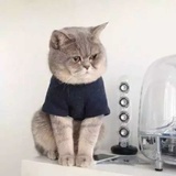 Mr.Liu