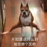 月见yy