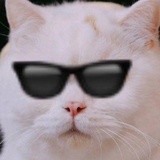 kkkk