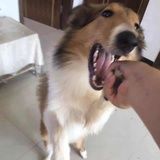 。