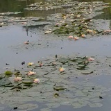 阿俊