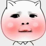 人生…如戏