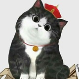 孙翠