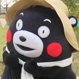 冰梅