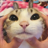 海以