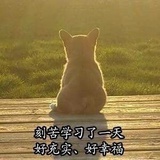 我只吃一碗饭