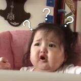 一只猫饼金