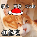 水母仙女