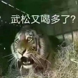 萧星雪