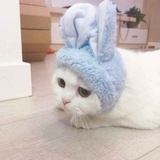 余悸。