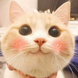 毛团