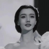 雪域玫瑰Rose