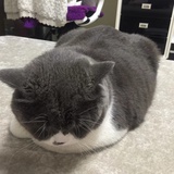 戒不掉口头禅