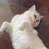 寺见
