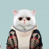 Juhuier