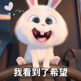茉莉妖兰