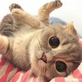 ￡粉粉 ~小吃货🍰