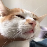 小帅帅帅帅帅帅