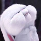 是兔兔🐰
