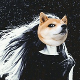 Stella itns