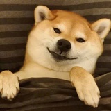黎安贞