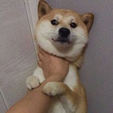 对方正在输入...