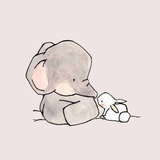 小叶槿