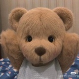 考拉d