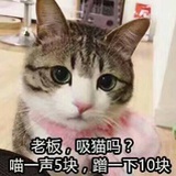 鱼鱼