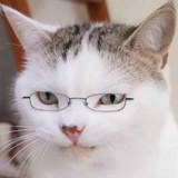 楚CHU