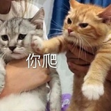 蚊子别咬我啦