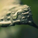 非我琐言