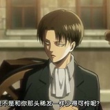 小狼