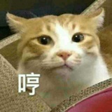 (눈_눈)