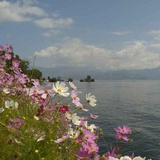 似水流年