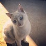 吃可爱长大的嘛