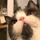 Leo王英俊