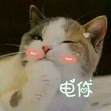 康康康1号