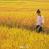 小可爱就是我