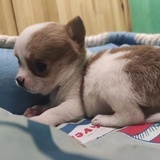 走走走
