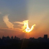 莫敢相逾越