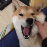 我要打十个
