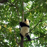 小小小的