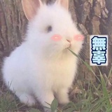小叶同学