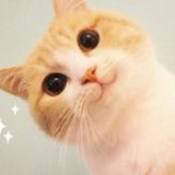 还会长高